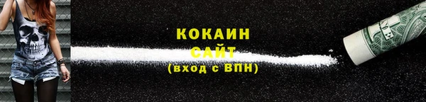 индика Армянск