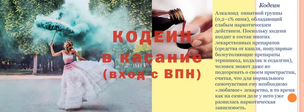 индика Армянск