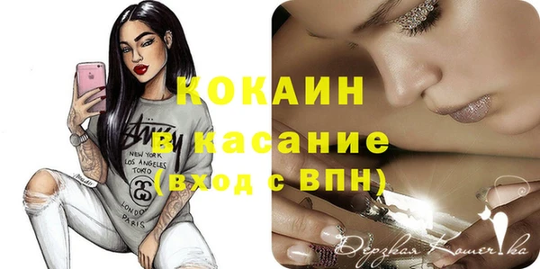 индика Армянск