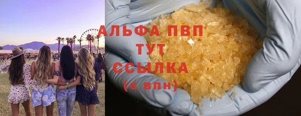 индика Армянск