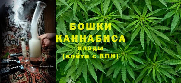 крисы Аркадак
