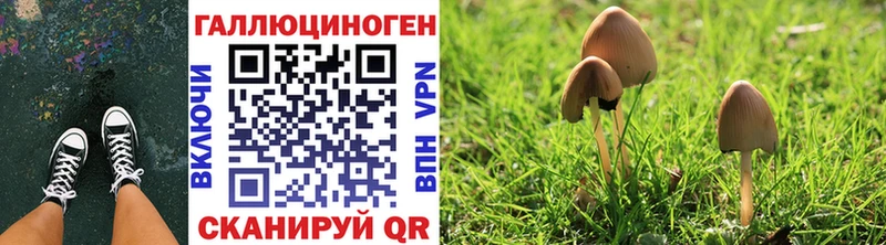 Галлюциногенные грибы MAGIC MUSHROOMS  Поворино 